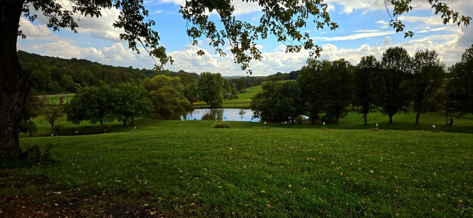 Hotel West Park Gardens Culpeper Pokoj fotografie